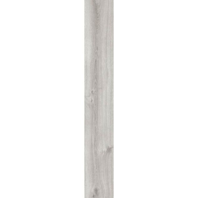 Orla - Solstice Dryback plank shot